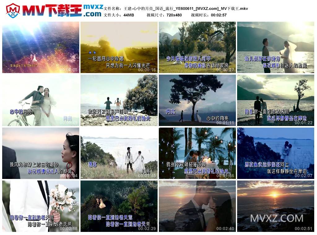 王建-心中的月亮_国语_流行_YE600611